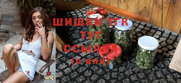 дмт Белокуриха