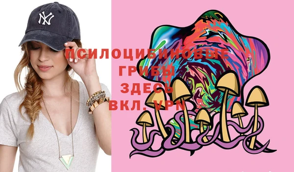 бошки Беломорск