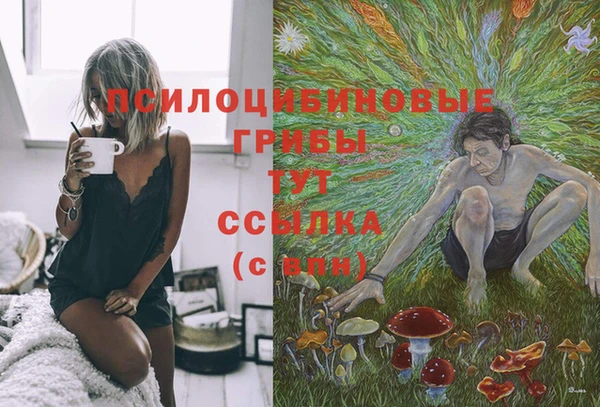 бошки Беломорск