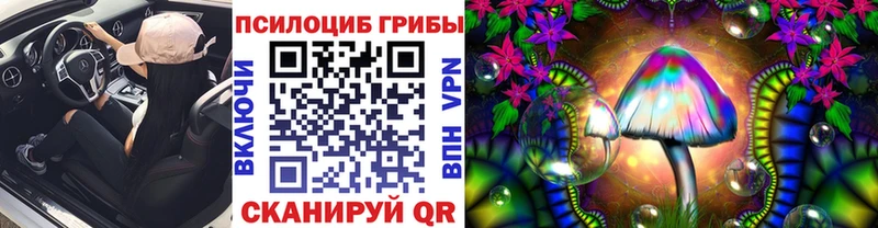 наркотики  Бодайбо  Галлюциногенные грибы мицелий 